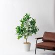 【人工観葉植物】MAGIQ東京堂/ファイカスポット3WAY(光触媒)/ZV000777 ※返品キャンセル不可