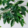 【人工観葉植物】MAGIQ東京堂/ファイカスポット3WAY(光触媒)/ZV000777 ※返品キャンセル不可
