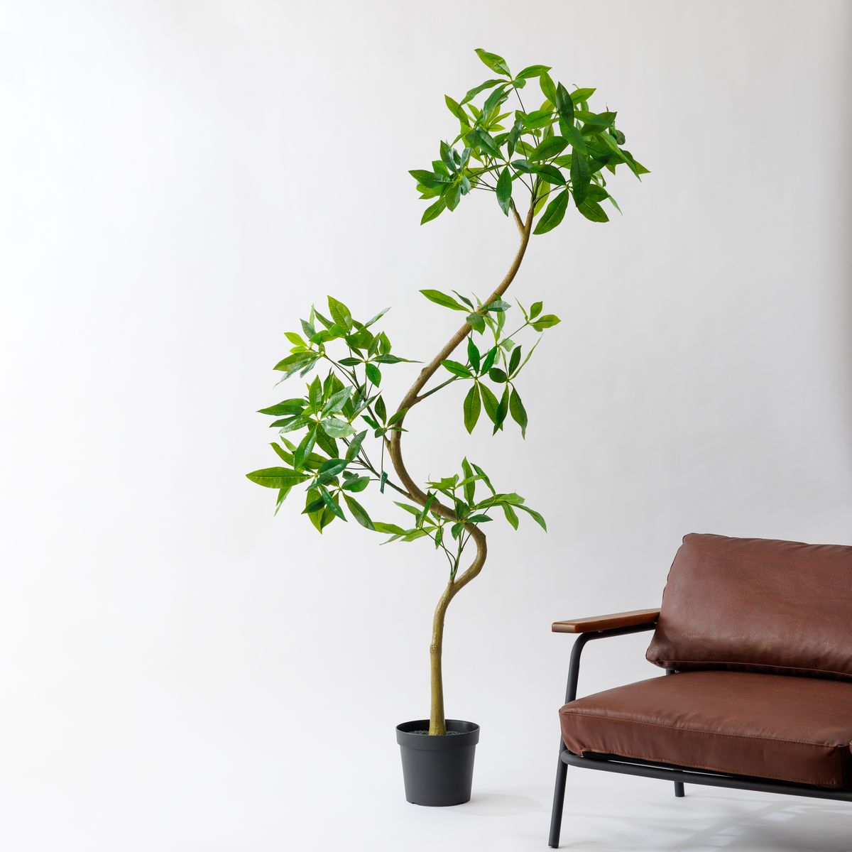 【直送】【人工観葉植物】MAGIQ東京堂/パキラエレガントスパイラル(光触媒)/ZV002255 ※返品代引キャンセル不可