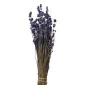 ドライ】ラベンダー 約30g ナチュラル/DE017011 - 花材通販はなどんや