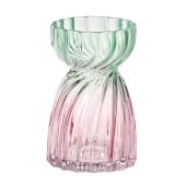 東京堂/スクイーズ 20 LIME PEACH ライムピーチ/GG000620 - 花材通販は