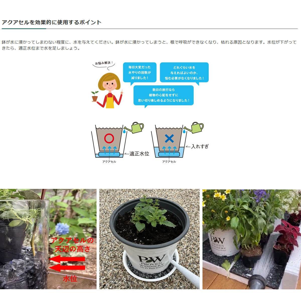アクアセルキューブ10L/GS0AQ010