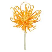 ブルマァク キングジョー 浅草花やしき限定　ピンク成型 ブルマァク キングジョー 浅草花やしき限定 ピンク成型 - メルカリ