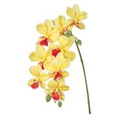 【造花】MAGIQ東京堂/プリムオーキッド #4  YELLOW イエロー/FM001044-004