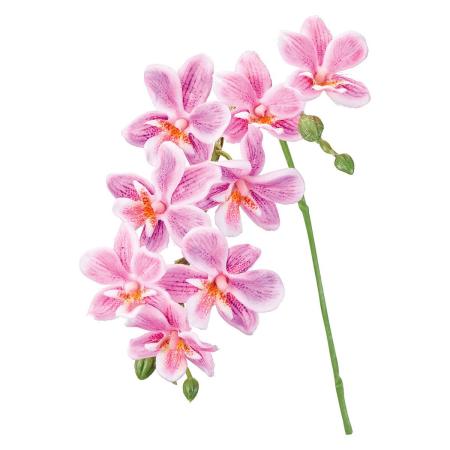 特価◎【造花】MAGIQ東京堂/プリムオーキッド #50 LILAC ライラック/FM001044-050
