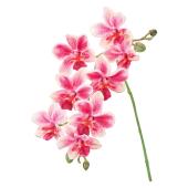 即日★【造花】MAGIQ東京堂/プリムオーキッド #52 HOTPK ホットピンク/FM001044-052