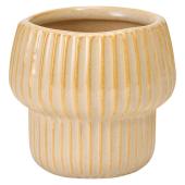 東京堂/なごみ #1 白練 シロネリ/CX001483-001 - 花材通販はなどんや