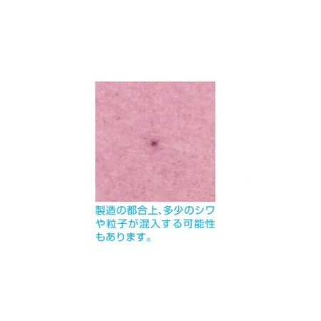 エバーロール  #5 オレンジ/WP008800-005