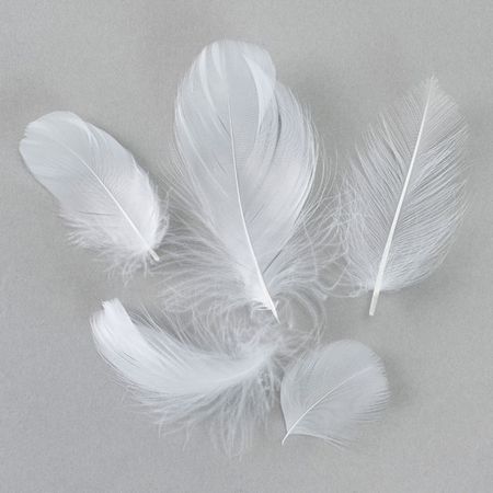 ホワイトコキール/FU000115