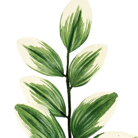 【造花】MAGIQ東京堂/タイニーナルコラン GREEN 3本/FG002631