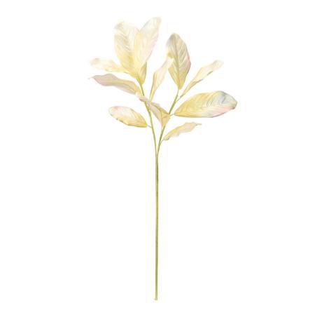 【造花】MAGIQ東京堂/ドリーミーマグノリアリーフ CREAM クリーム/FG003003