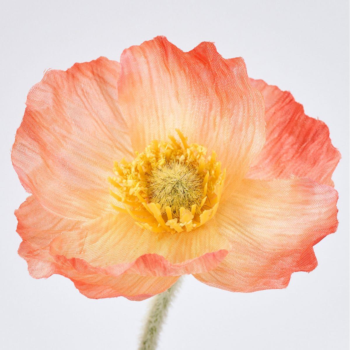 特価◎【造花】MAGIQ東京堂/ボヌールポピーバンドル #28 CO/OR コーラルオレンジ/FM005026-028