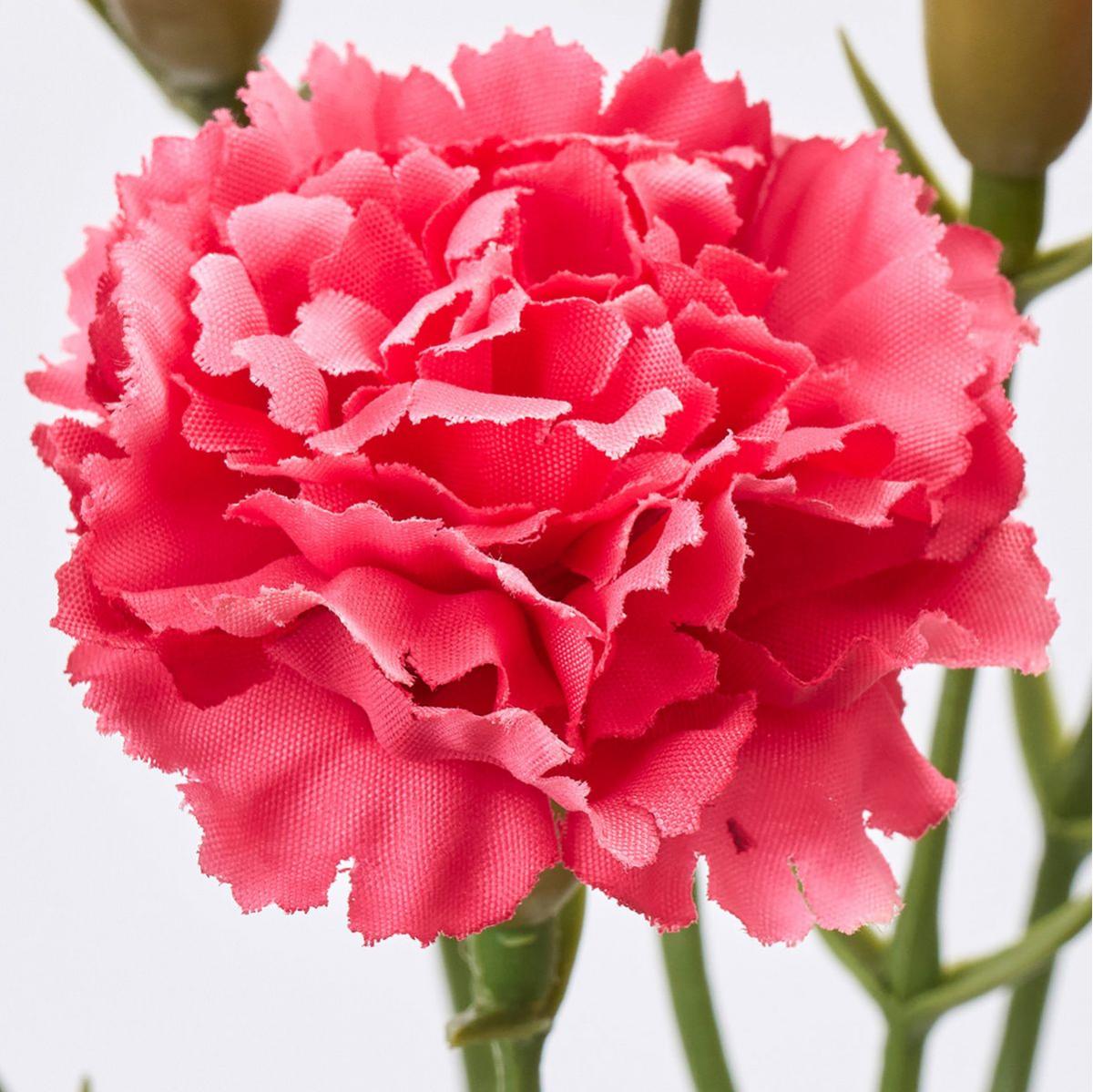 特価◎【造花】MAGIQ東京堂/ラフィネカーネバンドル #16 BEAUTY ビューティ/FM001651-016