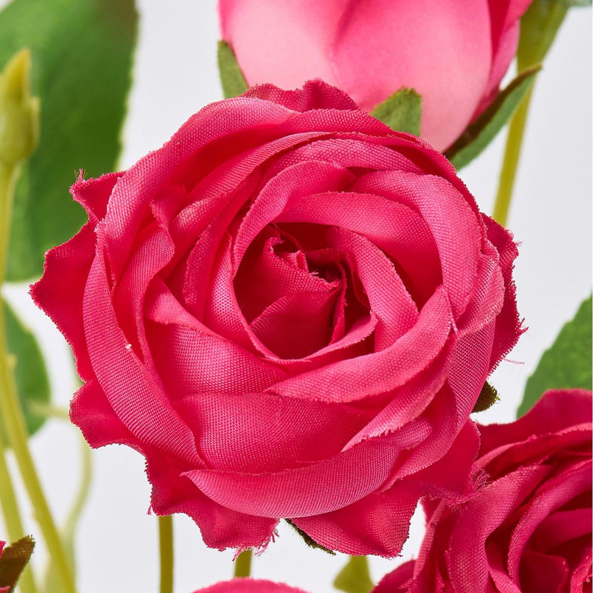 【造花】MAGIQ東京堂/シュシュローズ #16 BEAUTY ビューティ/FM006781-016