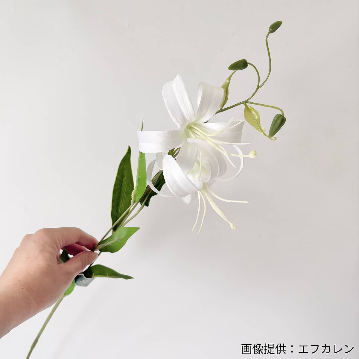 【造花】MAGIQ東京堂/スイングリリー #1  WHITE ホワイト/FM001615-001