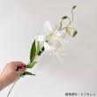 【造花】MAGIQ東京堂/スイングリリー #1  WHITE ホワイト/FM001615-001