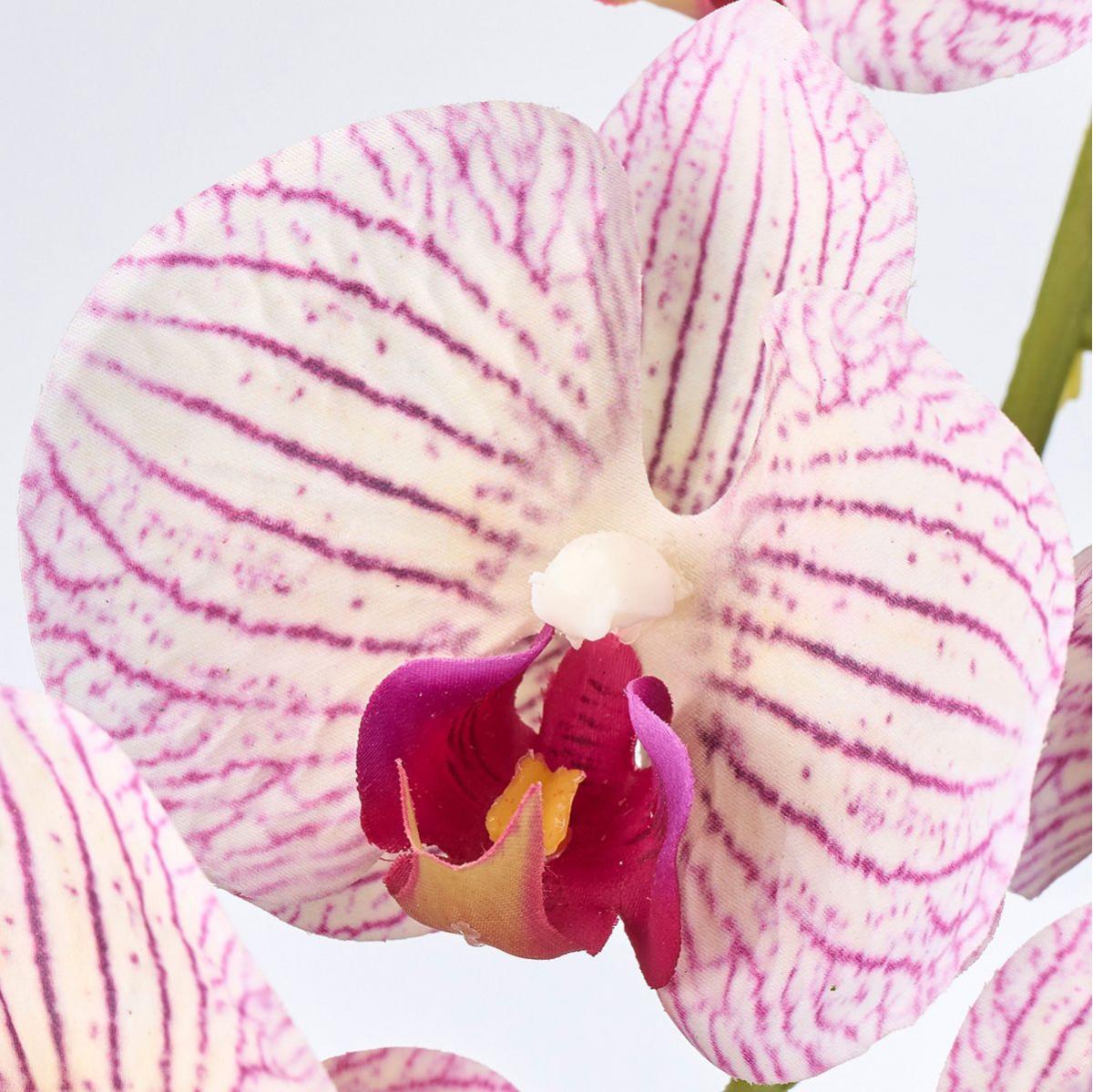 【造花】MAGIQ東京堂/エトランジュファレノ PU/CR パープルクリーム/FM007250