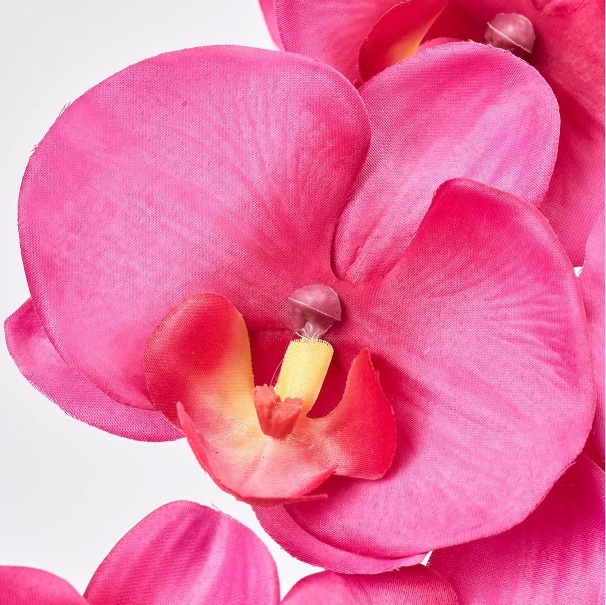 【造花】MAGIQ東京堂/フローレンスファレノ #16 BEAUTY ビューティ/FM302606-016