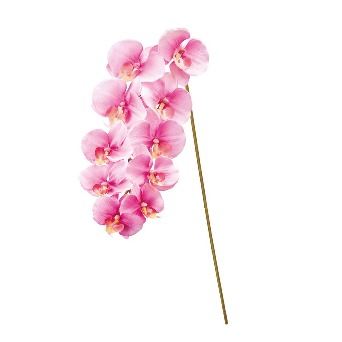 【造花】MAGIQ東京堂/フローレンスファレノ #50 LL/PK ライラックピンク/FM302606-050