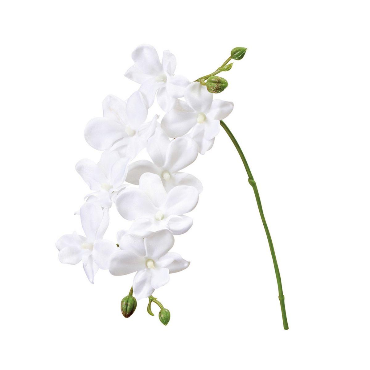 【造花】MAGIQ東京堂/プリムオーキッド #101 PUREWH ピュアホワイト/FM001044-101