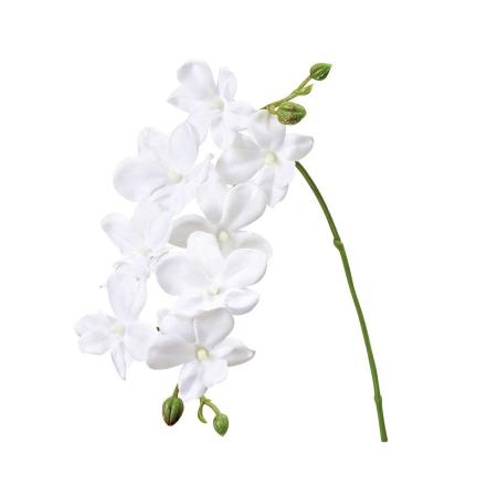 【造花】MAGIQ東京堂/プリムオーキッド #101 PUREWH ピュアホワイト/FM001044-101