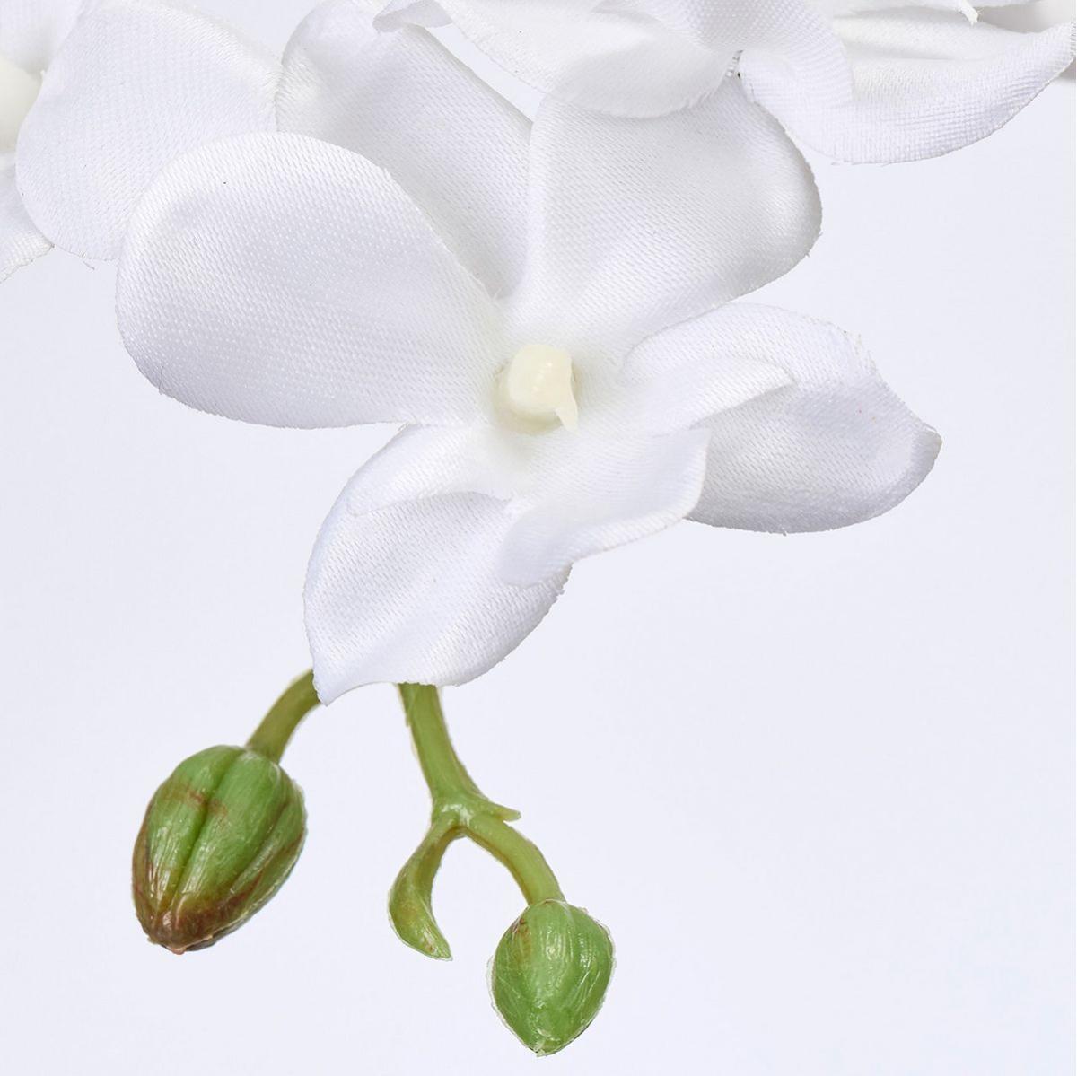 【造花】MAGIQ東京堂/プリムオーキッド #101 PUREWH ピュアホワイト/FM001044-101