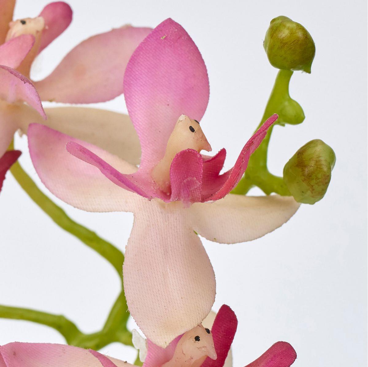 【造花】MAGIQ東京堂/ルシアファレノ #48  PK/CR ピンククリーム/FM001256-048