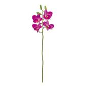 即日★【造花】MAGIQ東京堂/プライマリデンファレ #12 ORCHID オーキッド/FM007427-012