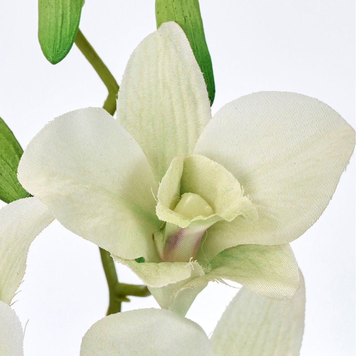 【造花】MAGIQ東京堂/プライマリデンファレ #23 LTGR ライトグリーン/FM007427-023