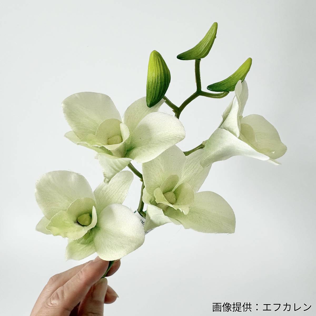 【造花】MAGIQ東京堂/プライマリデンファレ #23 LTGR ライトグリーン/FM007427-023