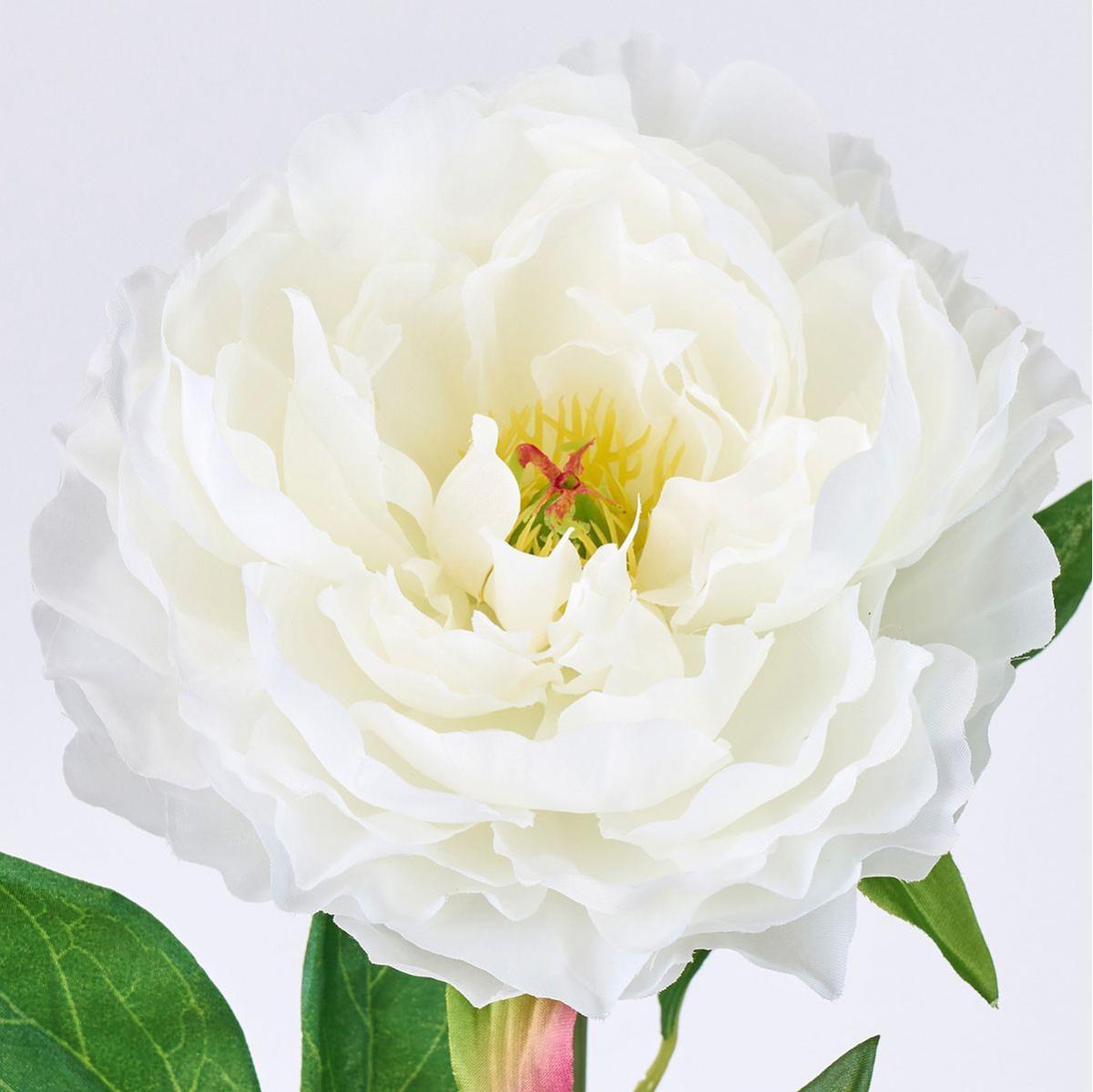 【造花】MAGIQ東京堂/マリーピオニー #1  CR/WH クリームホワイト/FM000863-001