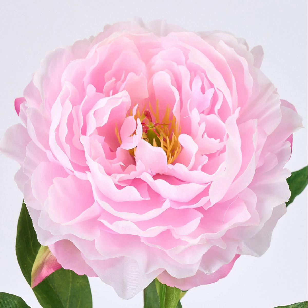 【造花】MAGIQ東京堂/マリーピオニー #2  LTPK ライトピンク/FM000863-002