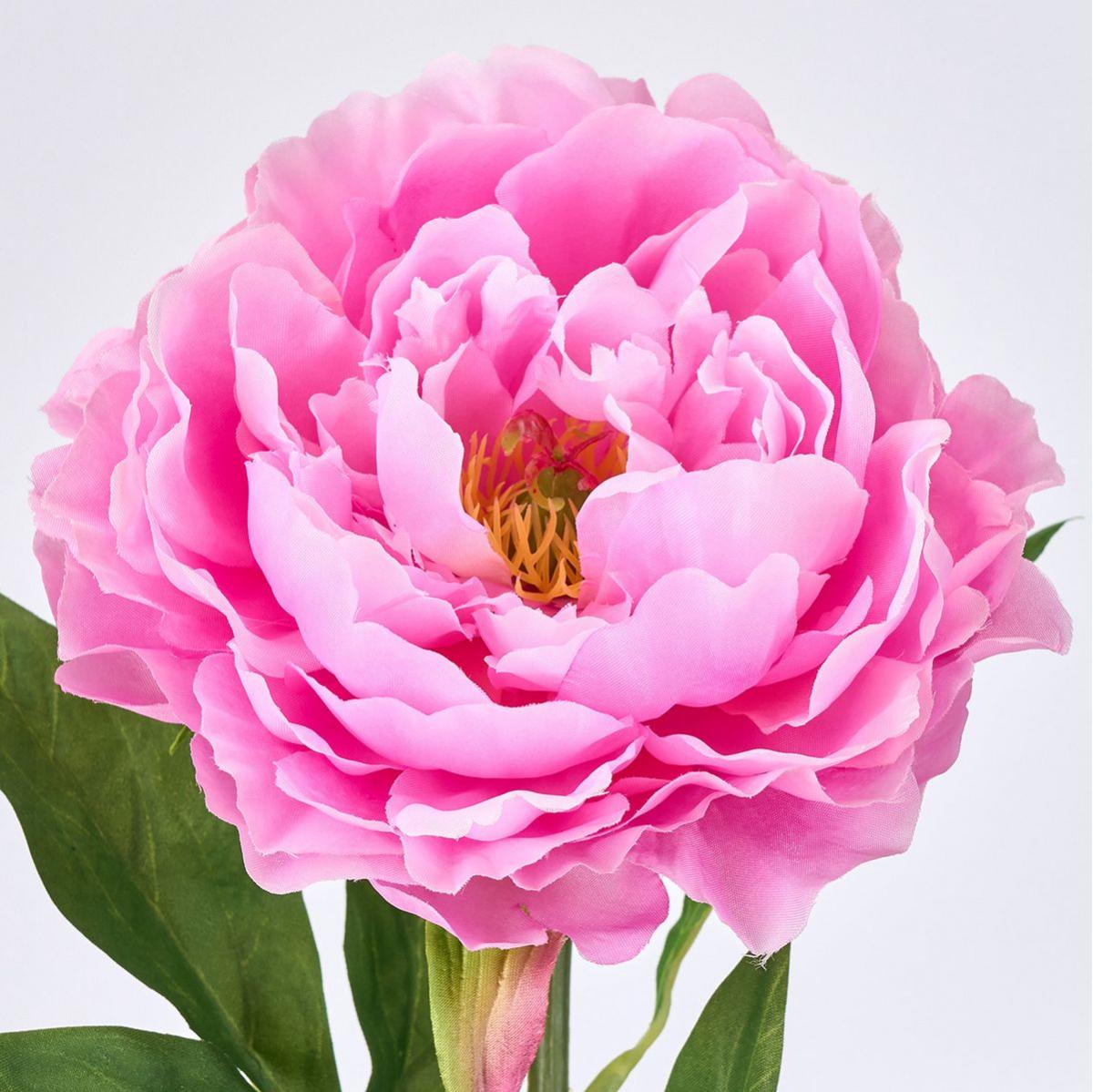 【造花】MAGIQ東京堂/マリーピオニー #50 DKPK ダークピンク/FM000863-050