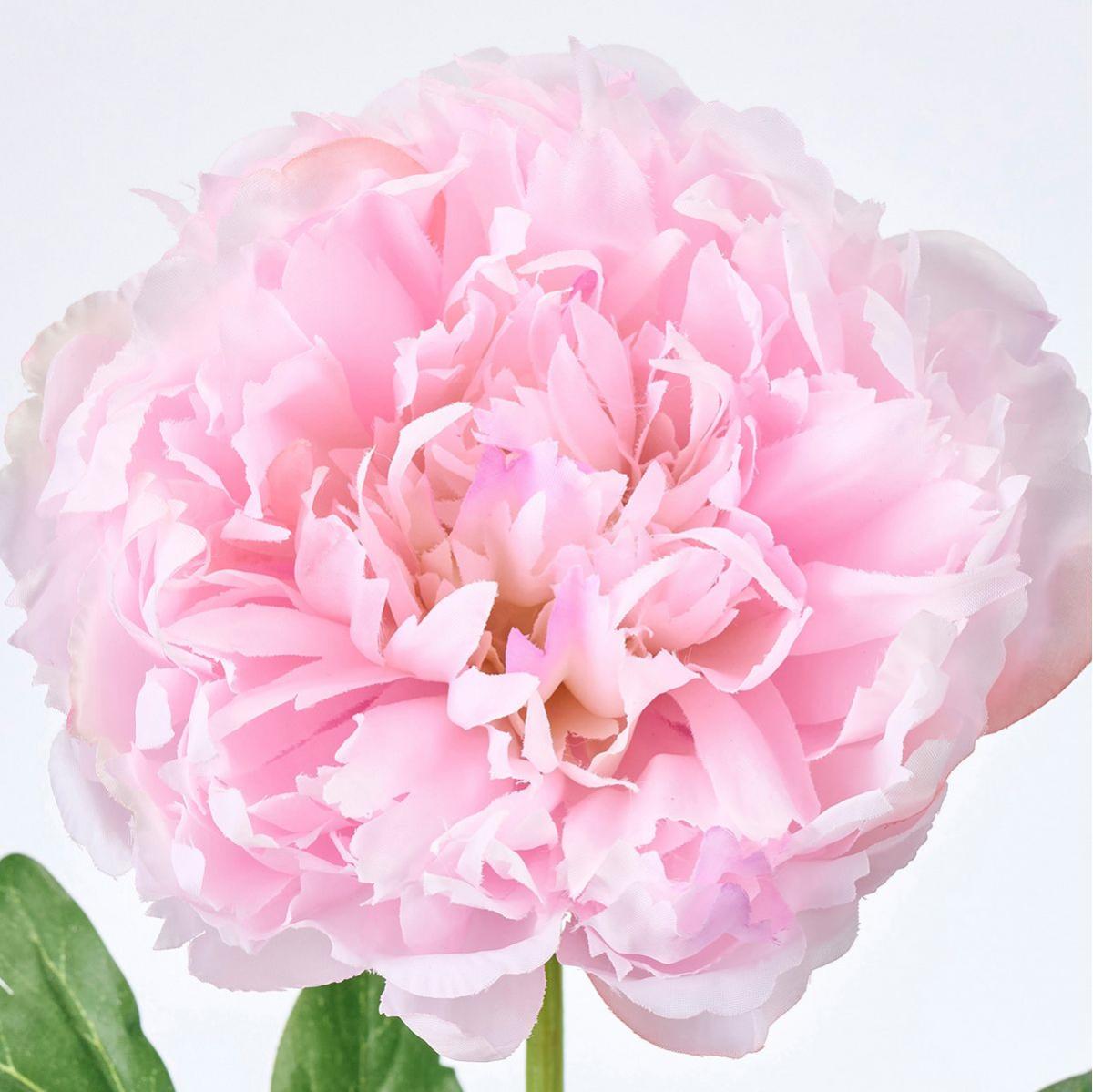 【造花】MAGIQ東京堂/スイートピオニー #2  PINK ピンク/FM302602-002