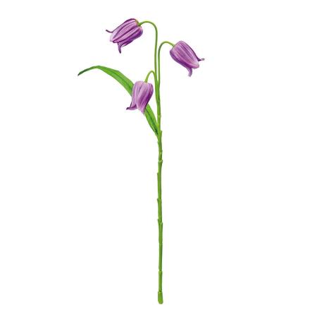 特価◎【造花】MAGIQ東京堂/ルルカンパヌラ #11 LV/PP ラベンダーパープル/FM000208-011