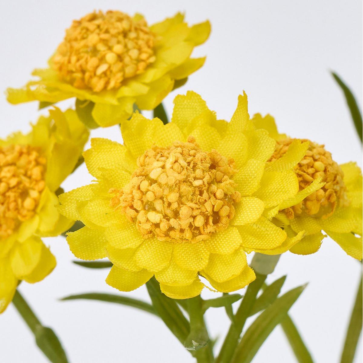 【造花】MAGIQ東京堂/ミニョンデージー #4  YELLOW イエロー/FM000993-004