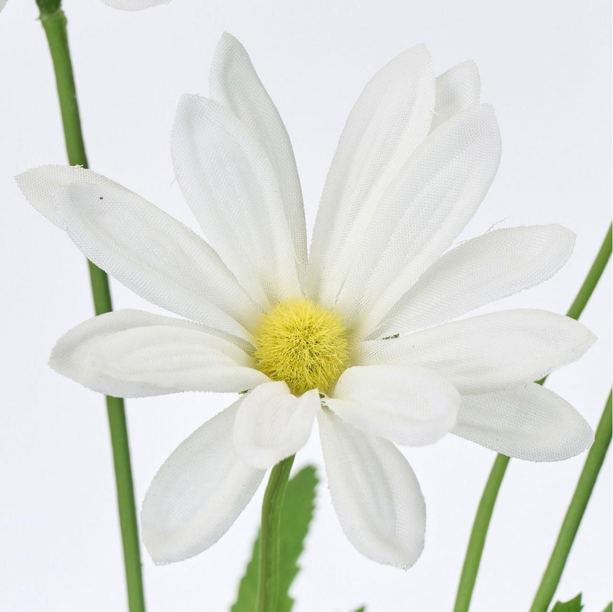 【造花】MAGIQ東京堂/サリーマーガレット #1  WHITE ホワイト/FM009333-001