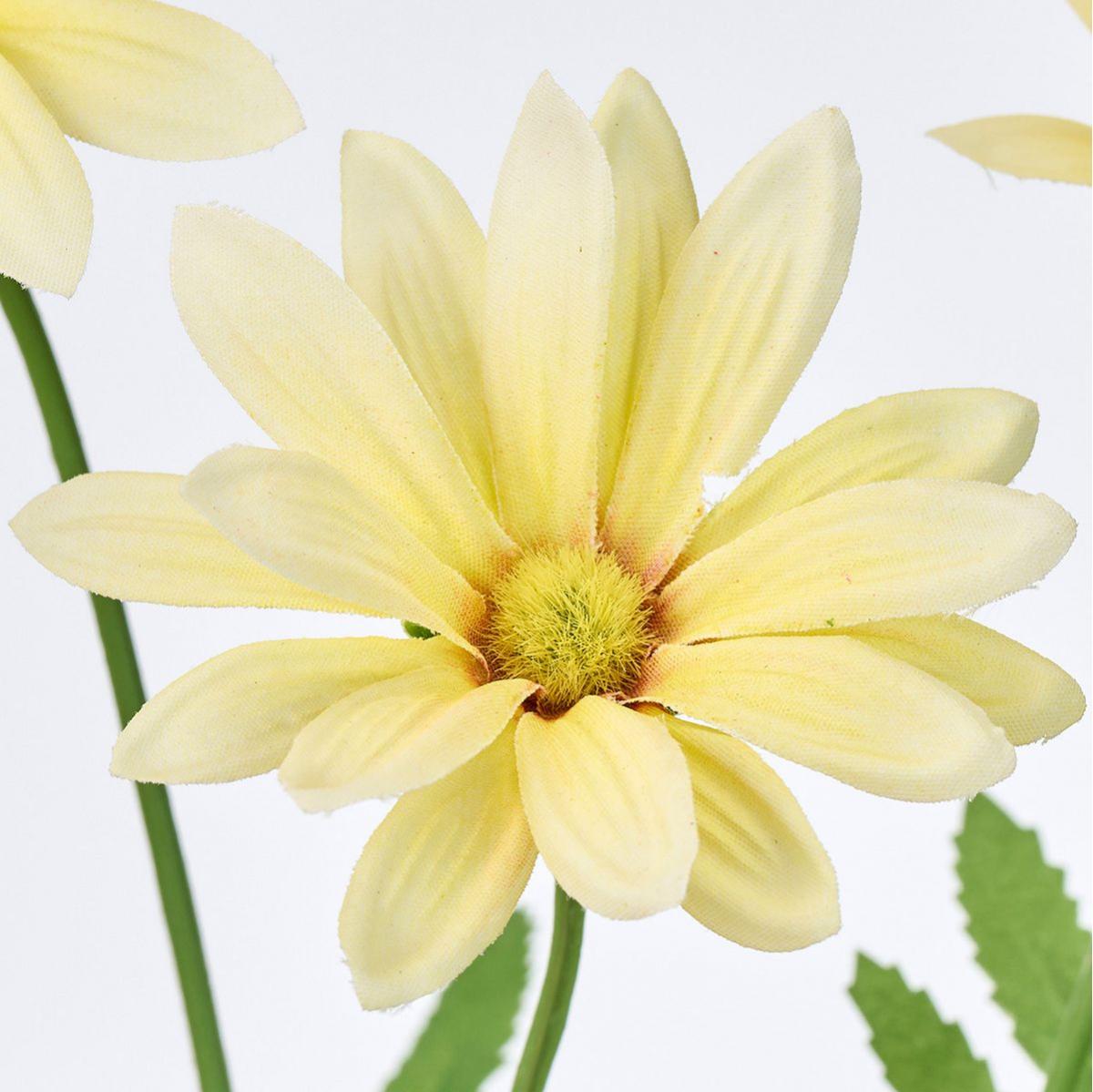 【造花】MAGIQ東京堂/サリーマーガレット #4  LTYE ライトイエロー/FM009333-004