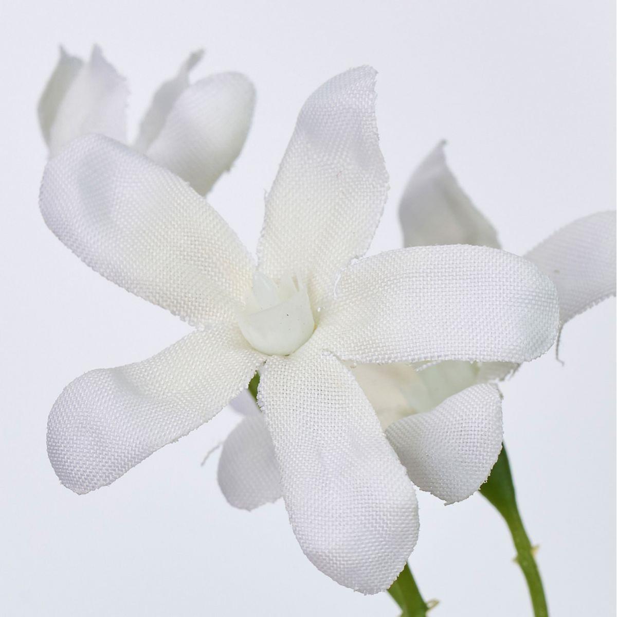 【造花】MAGIQ東京堂/ブルースターファイン #1  WHITE ホワイト/FM002508-001