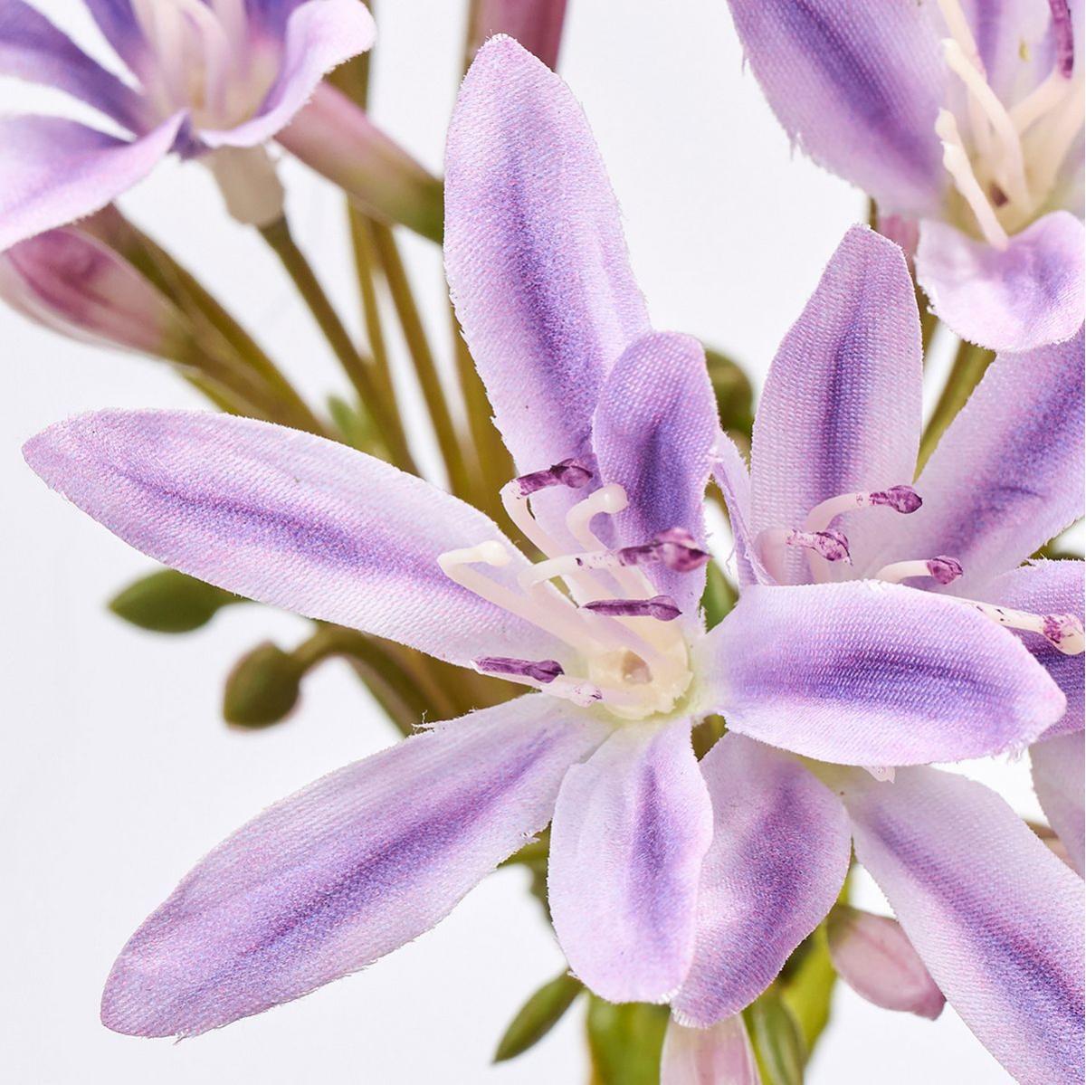 【造花】MAGIQ東京堂/フィールアガパンサス #17 PURPLE パープル/FM002991-017