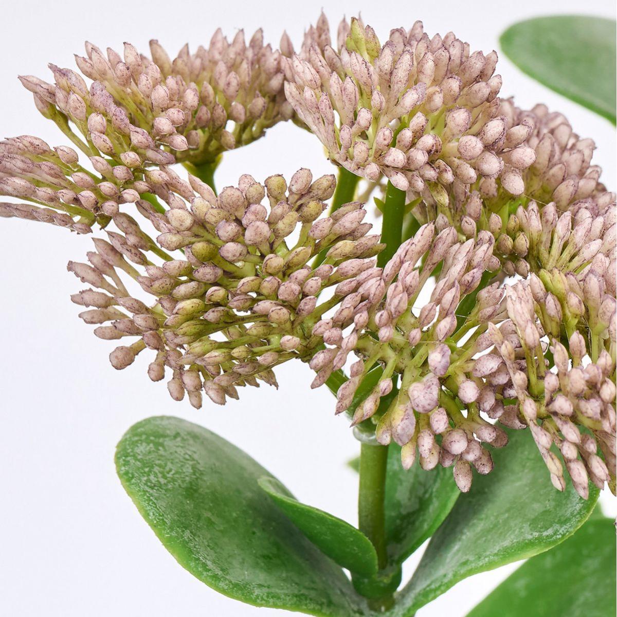 【造花】MAGIQ東京堂/フレッシュセダムスプレー #11 LV/GR ラベンダーグリーン/FM000849-011