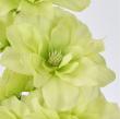 【造花】MAGIQ東京堂/ピエールデルフィニウム #23 LIMEGR ライムグリーン/FM002930-023