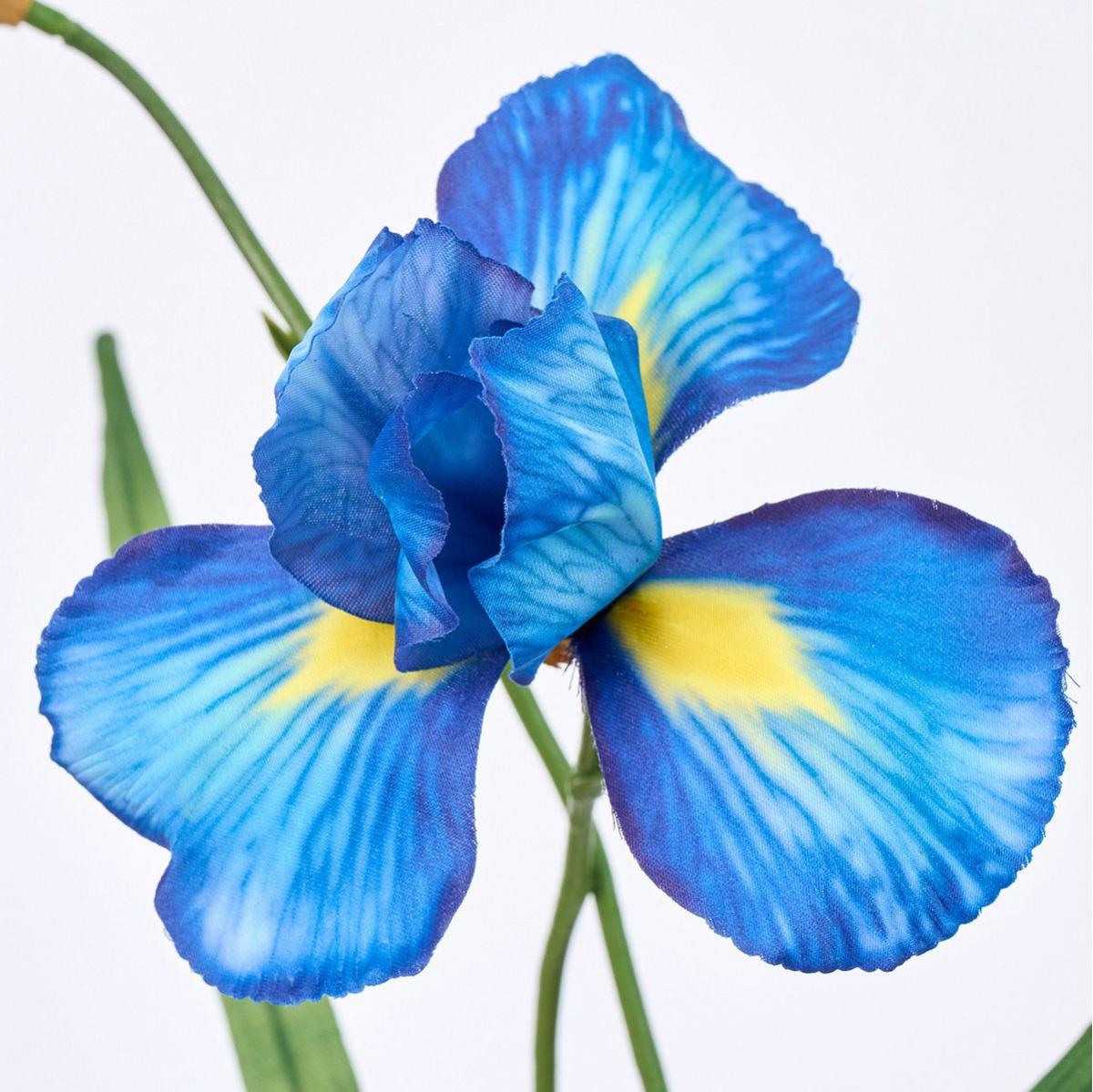 特価◎【造花】MAGIQ東京堂/コネクティアイリス #10 DKBL ダークブルー/FM000331-010