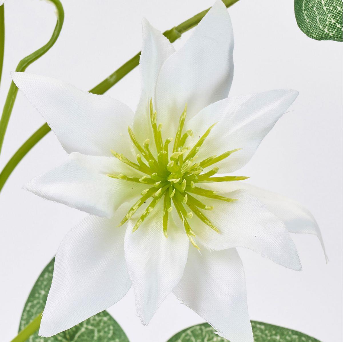 【造花】MAGIQ東京堂/ブリージークレマチス #1  WHITE ホワイト/FM001852-001