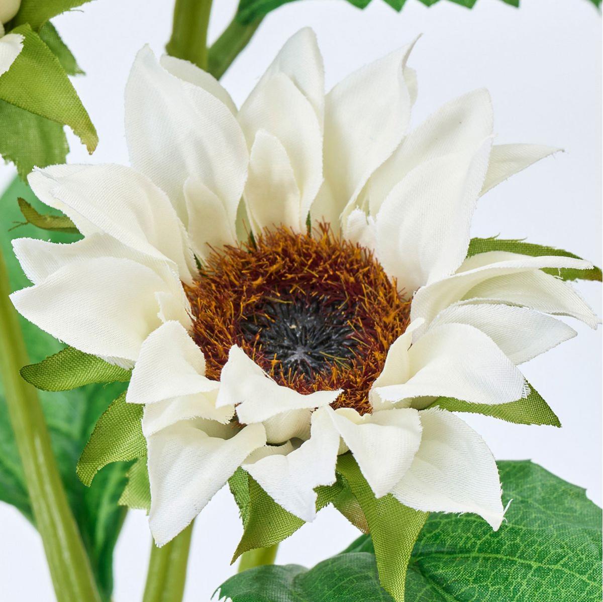 【造花】MAGIQ東京堂/インプレスサンフラワー #1  WHITE ホワイト/FM008217-001