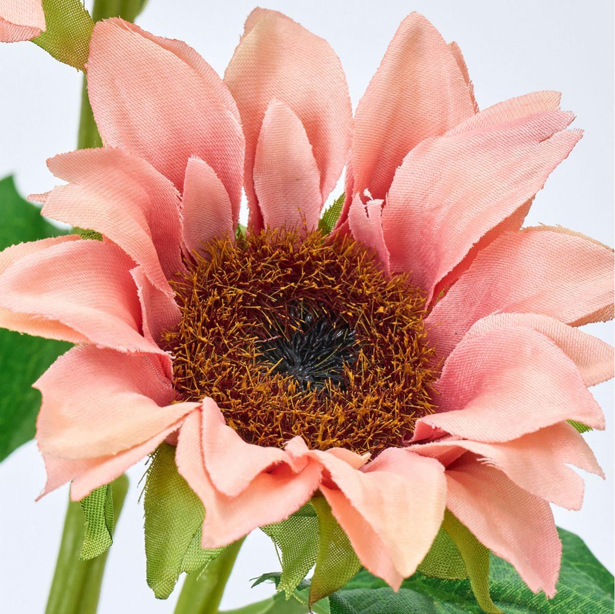 【造花】MAGIQ東京堂/インプレスサンフラワー #6  PE/PK ピーチピンク/FM008217-006