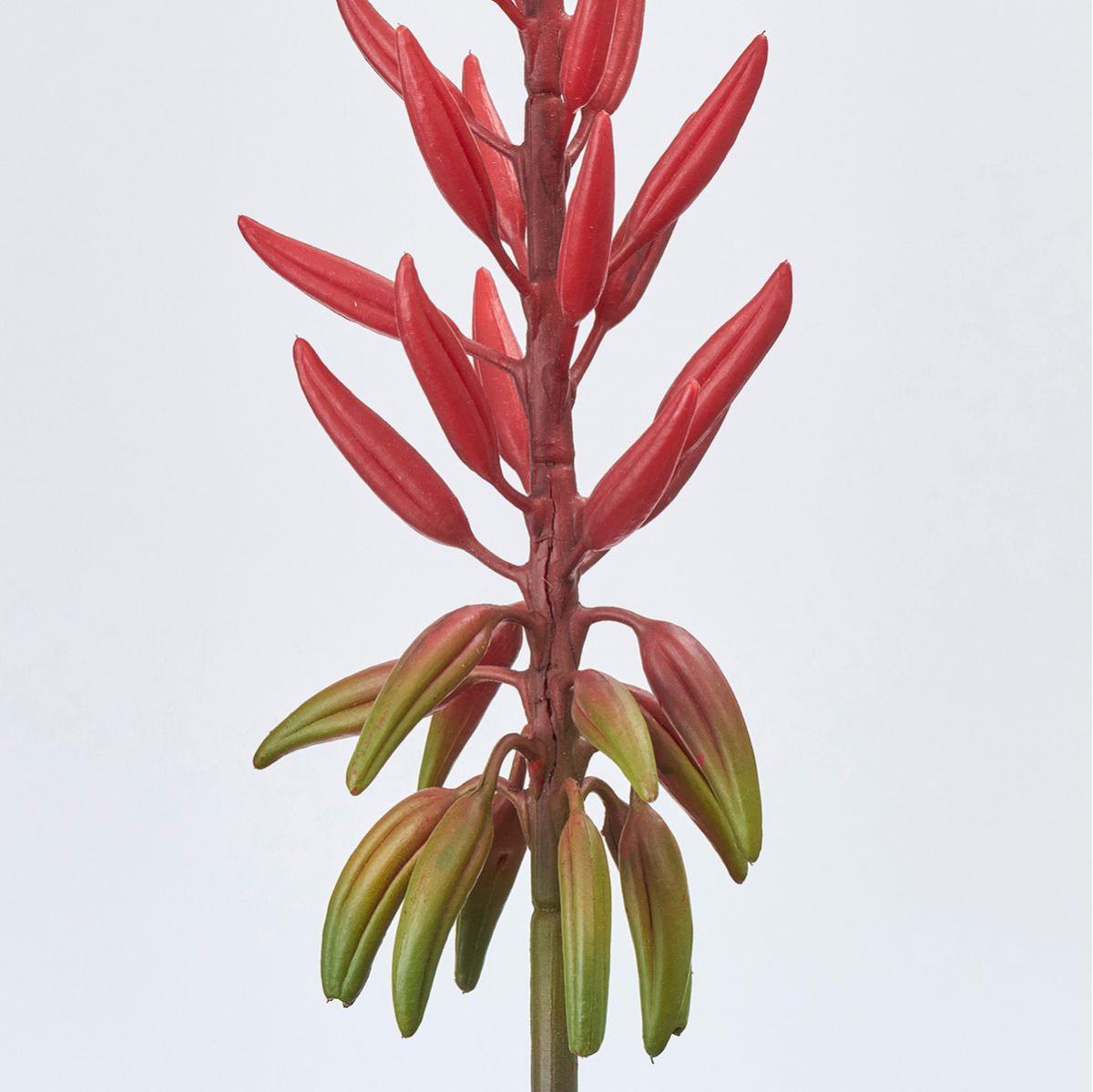 【造花】MAGIQ東京堂/アロエサファリ #3  RED レッド/FM002856-003