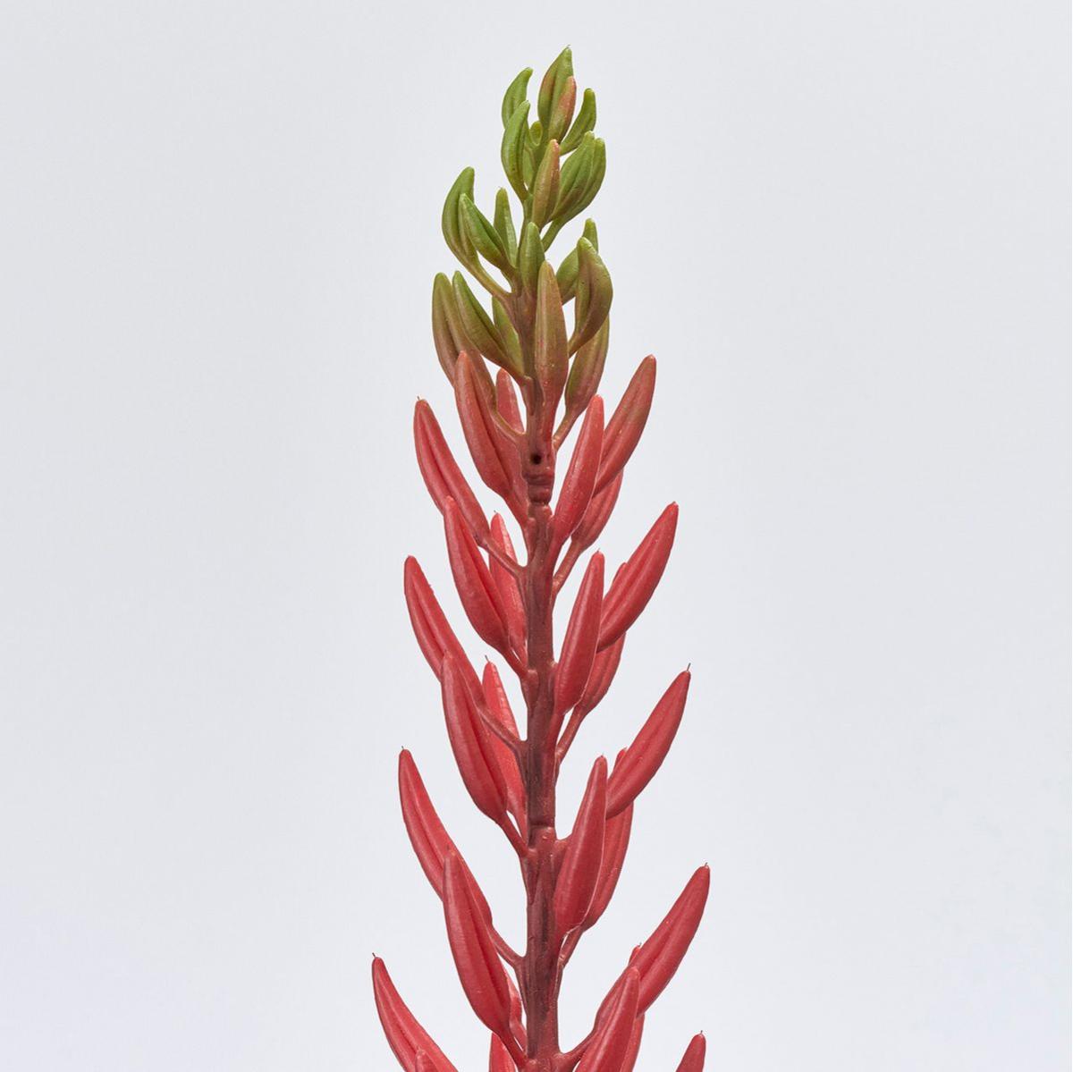 【造花】MAGIQ東京堂/アロエサファリ #3  RED レッド/FM002856-003
