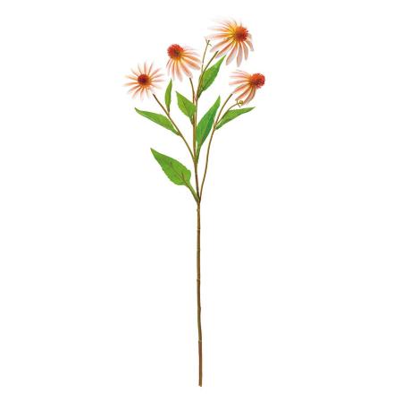 【造花】MAGIQ東京堂/エキナセア #6  CR/PE クリームピーチ/FM000199-006