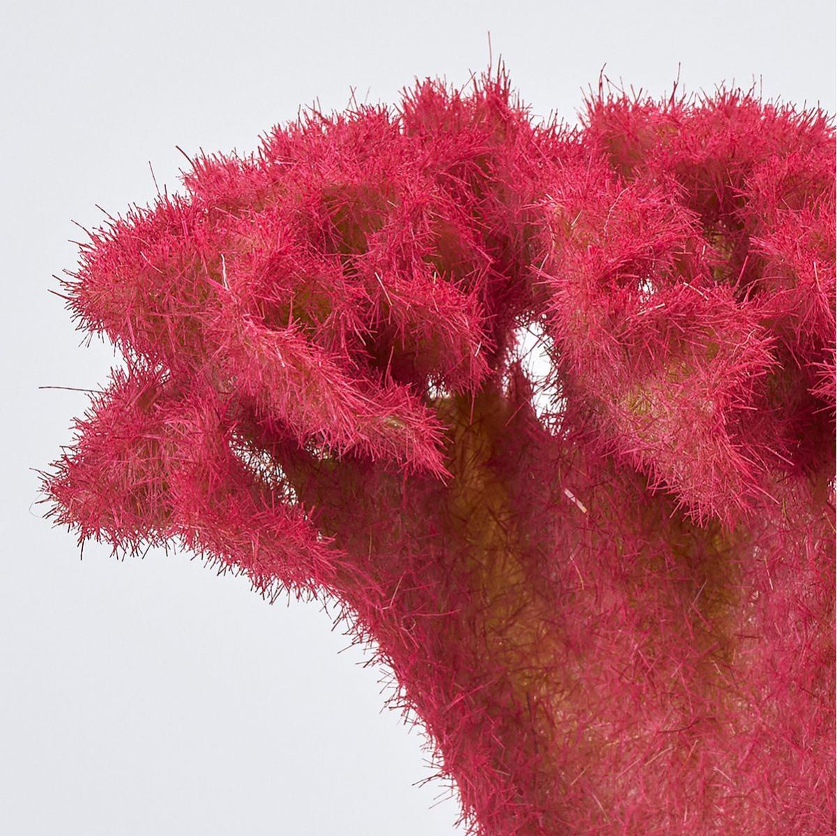 【造花】MAGIQ東京堂/フリンジケイトウ #3  RED レッド/FM002087-003